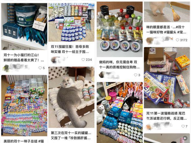 狗大市场赵露思、陈冠希纷纷加入麻将胡了试玩平台3000亿猫