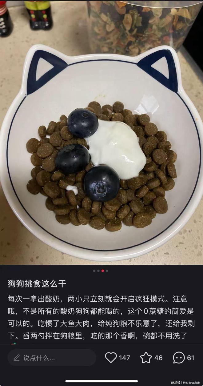 配方”撬动萌宠经济与母婴信任双赛道麻将胡了2试玩网站简爱酸奶以“纯净(图2)