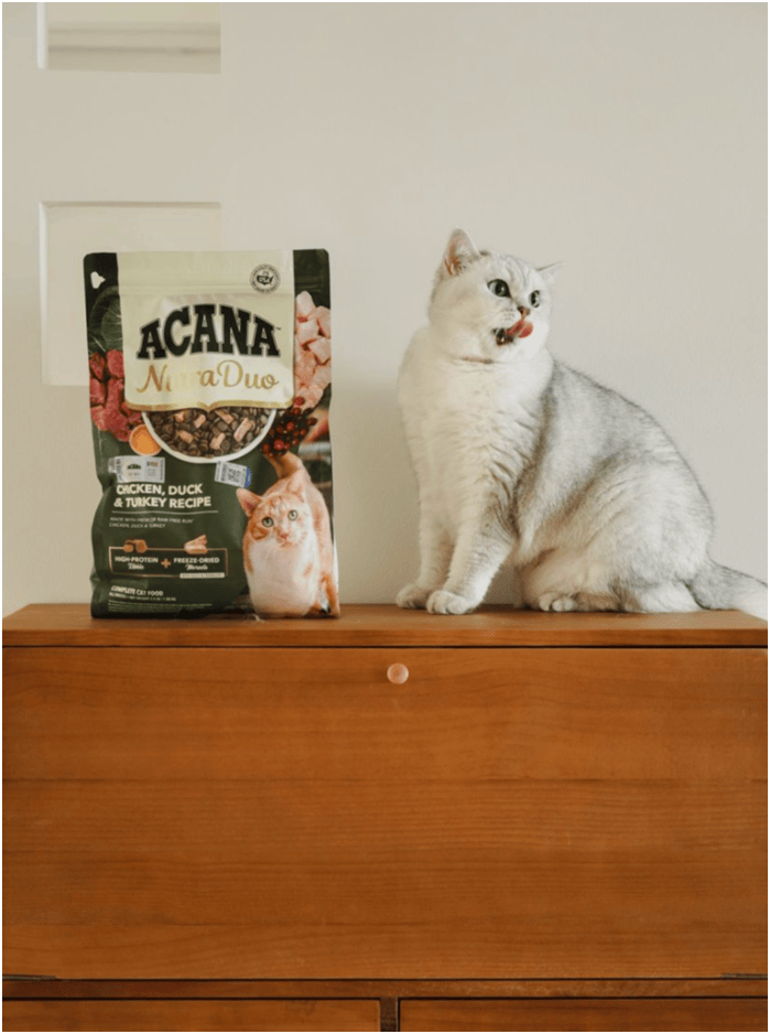 球首发“双拼倍护猫粮”巨头的中国战略再提速麻将胡了免费试玩宠物食品新闻：爱肯拿在华全(图2)